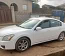 A picture of Nissan maxima SL 2007 white