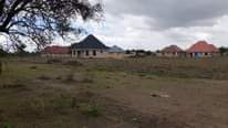 A picture of Kiwnja hicho hapo kimenyooka kinauzwa kisongo arushaa