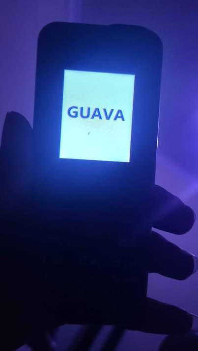 A picture of Kiswaswadu kibatani