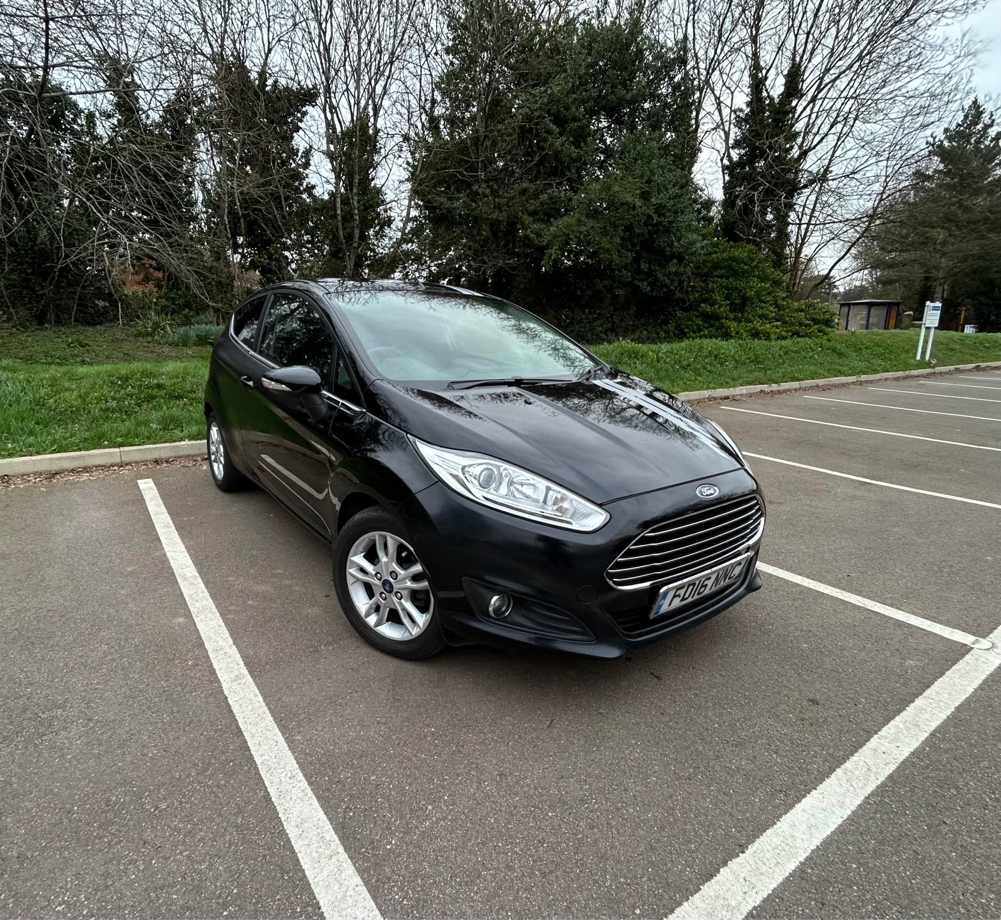ford zetec