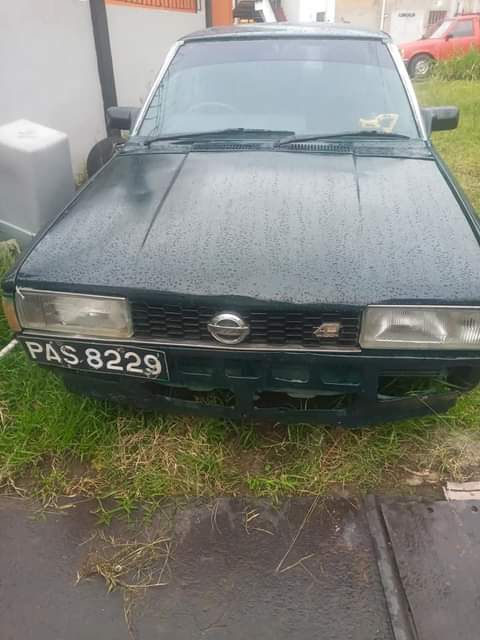 Old M.
