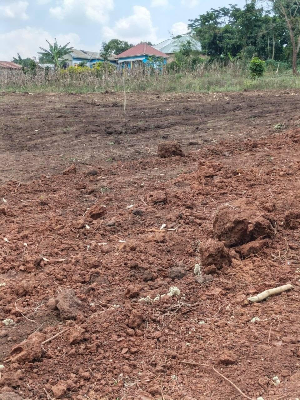 uganda plots