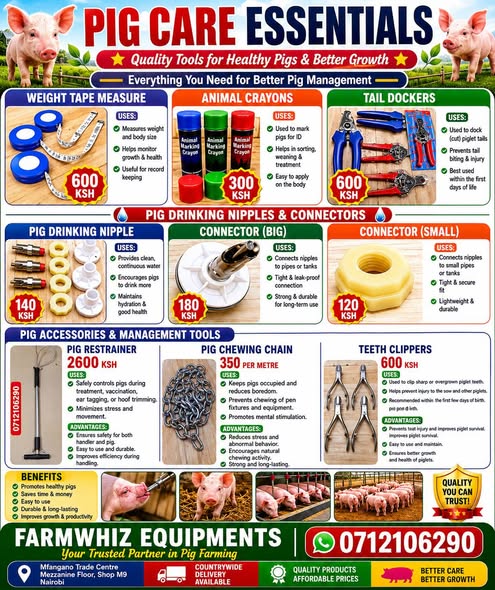 A picture of Equipments