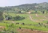A picture of PLOTS FOR SALE LOCATED WAKISI KAKIRI GOBERO MAIN ROAD
