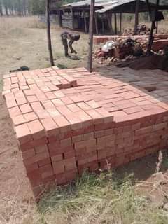 bricks