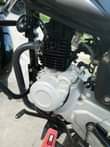 A picture of BOXER BMX125