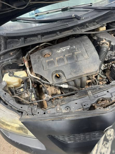 A picture of Toyota Corolla 09