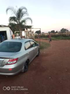 used honda aria