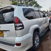 A picture of Prado TX 75m only