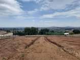 A picture of NEW PRIME ESTATE DEAL 50X100FT AT NAMUGONGO SONDE AT UGX75M