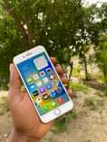A picture of iPhone 8plain 64gb iOs 16 Bh 100 fingerprint Ipo 250