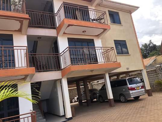 A picture of Katungi properties
