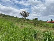 A picture of New site is open located at matugga kilolo Namayamba 2km