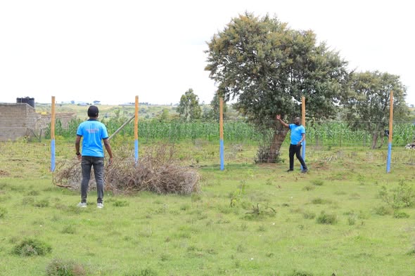 50 100 plots