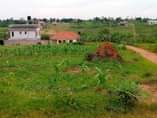 A picture of Busukuma gayaza rd plot on quick sale