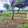 A picture of Imebaki moja tu kiwnja kimenyooka kinauzwa kisongo arushaa