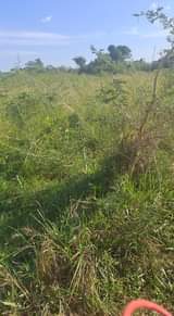 A picture of 