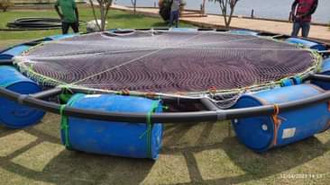 A picture of Fishfarming inputs