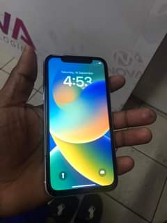 Betta B.