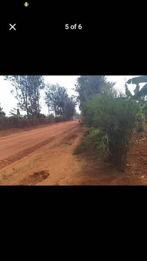 land