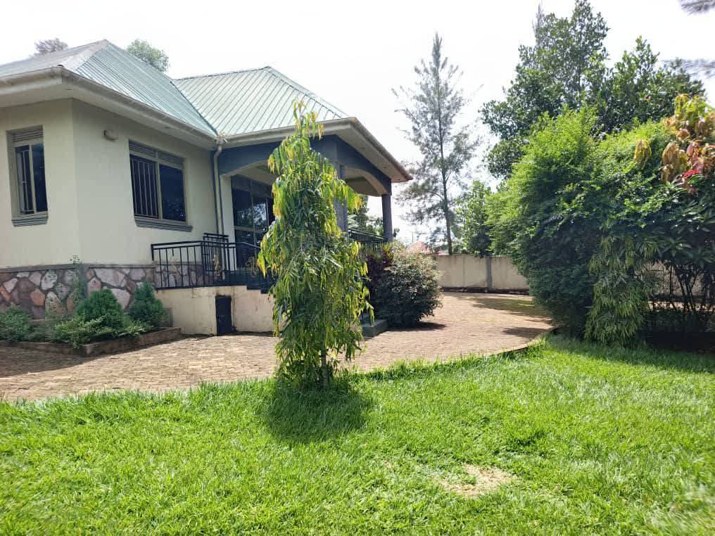 A picture of Wakiso nkowe hot deal