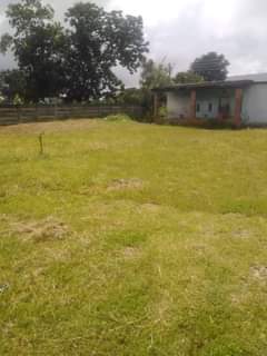 stands