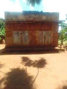 A picture of Land