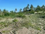 A picture of VIWANJA KIBUGUMO BEACH PLOT