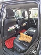 A picture of Toyota land cruiser