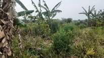 A picture of Buy land at 7m per acre