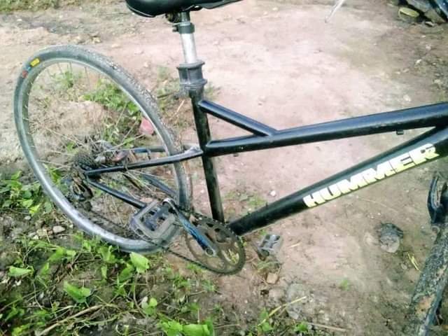 A picture of Baskel