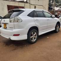 A picture of Harrier Kawundo 40m