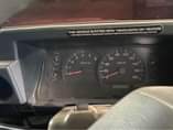 A picture of Cruser