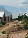 A picture of CALL 0687283704 Mwanza Buhongwa