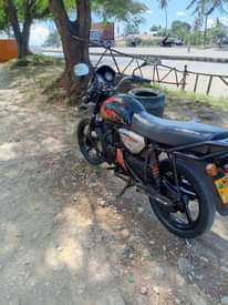 A picture of Boxer cc 150