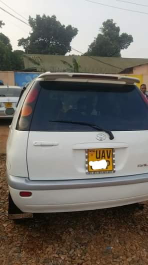UGANDAN C.