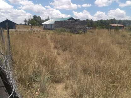 50 100 plots