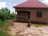 A picture of Good deal on quick sale House on sale located matugga