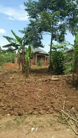 A picture of LAND AND HOUSE FOR LEASE HIRE RENT LOCATED IN KIGOOGWA