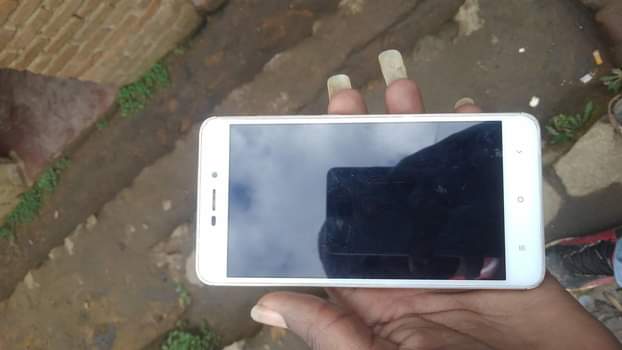 New M.