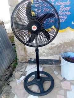 fans