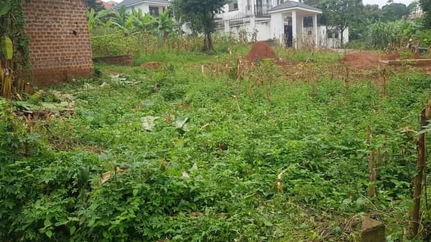 Digy I.