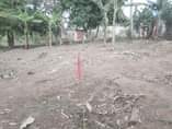 A picture of VINAUZWA MILIONI 23 00 000