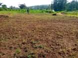 A picture of Mukono kalagi quick sale plot