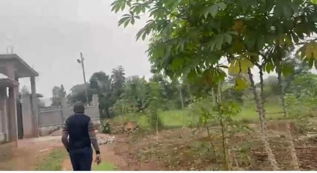 A picture of Gayaza Nakasajja