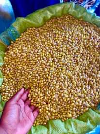 A picture of Maharage