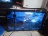 A picture of TCL inch 32