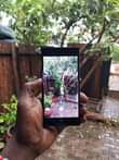 A picture of Sony Xperia XZ1