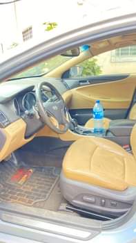 A picture of Up for sale First body Belgium standard Everything is perfect