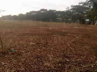 mwembeshi
